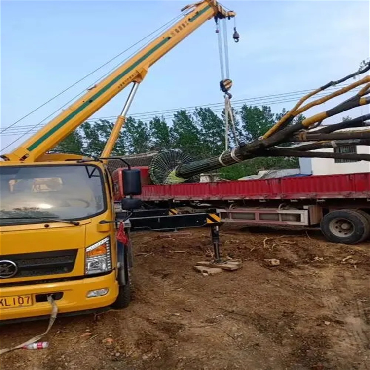 长阳100吨吊车租赁费用怎么算？3大关键因素+省钱技巧全解析